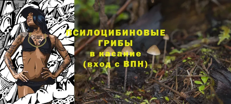 Псилоцибиновые грибы Magic Shrooms  Райчихинск 